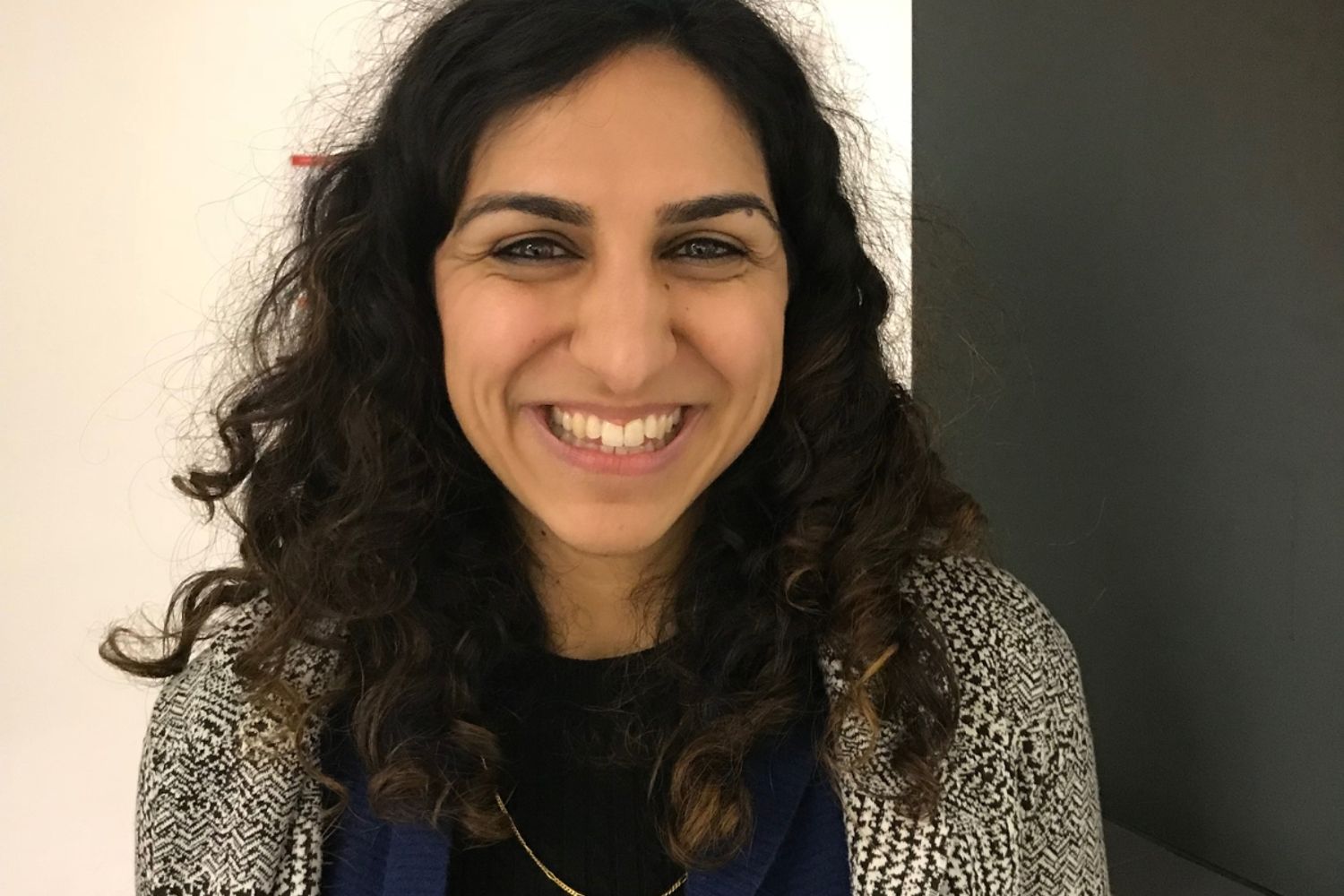 #28: The Brain Gut Connection with Dr Rabia Lalani | The Doctor's Kitchen