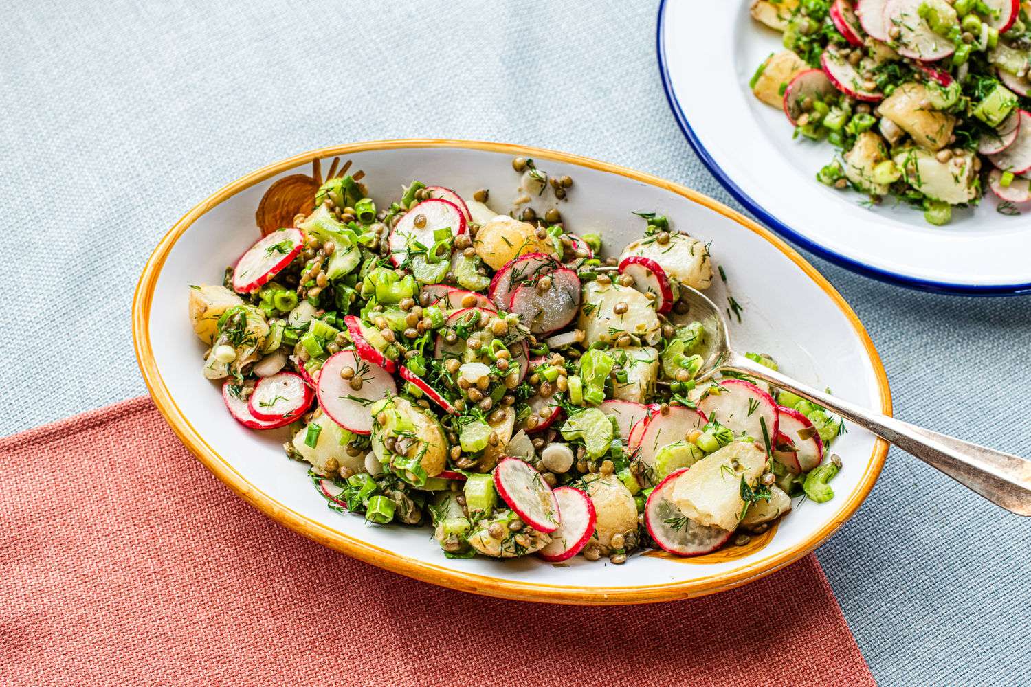 Potato, Lentil, Radish, and Celery Salad | The Doctor's Kitchen