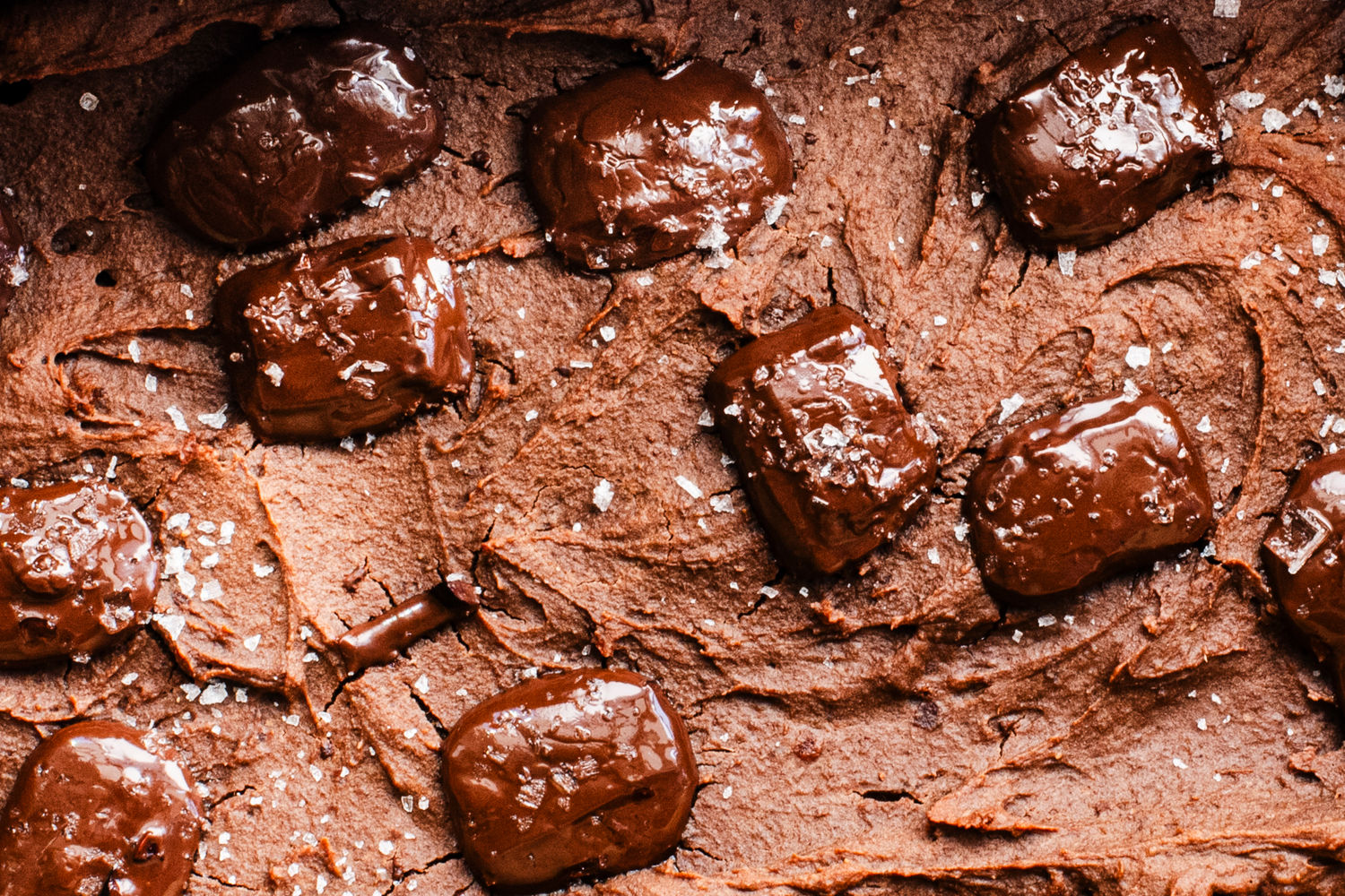 Vegan Chocolate Peanut Butter Protein Bars | The Doctor's Kitchen